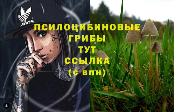 дживик Осинники