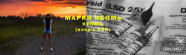 дживик Осинники