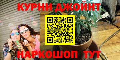 прущие грибы Апшеронск