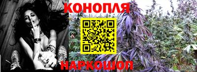 прущие грибы Апшеронск