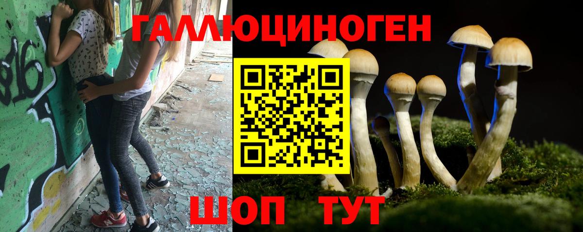 Бахчисарай  где найти   Вход с VPN  Галлюциногенные грибы GOLDEN TEACHER 