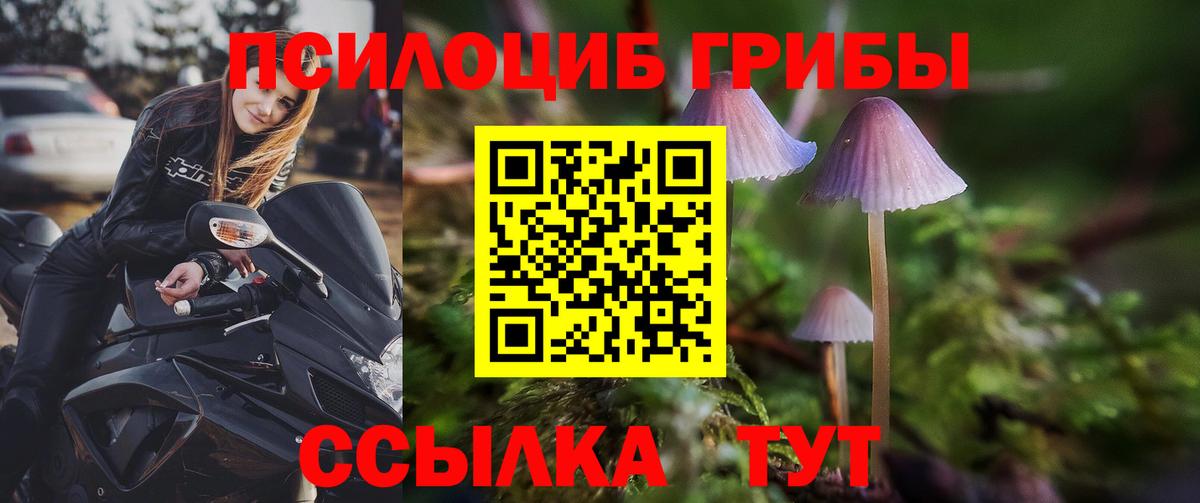 Галлюциногенные грибы Psilocybe Бахчисарай