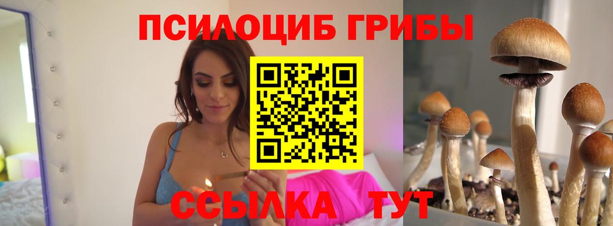 Галлюциногенные грибы ЛСД Бахчисарай